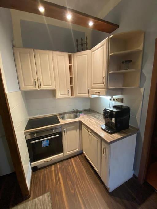 Apartments 5 In The Centre Of 프라하 외부 사진